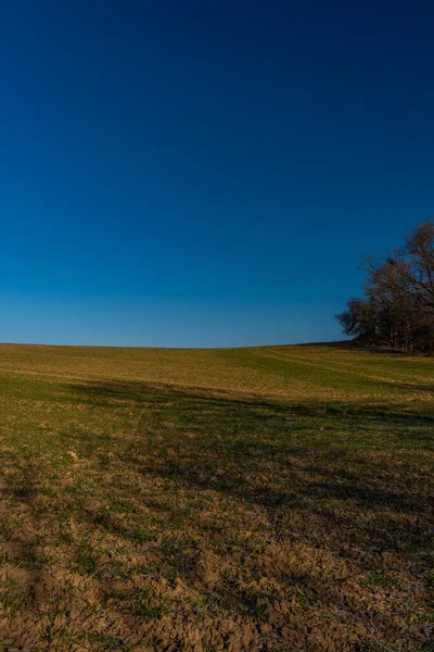 Groene Veld Blauwe Lucht Winter Zonnige Ochtend Litovel Moravië Gebied — Stockfoto