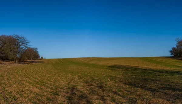 Campo Verde Céu Azul Inverno Manhã Ensolarada Área Litovel Moravia — Fotografia de Stock