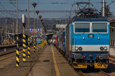Güneşli kış gününde yolcu ve yük trenleriyle Zabreh İstasyonu