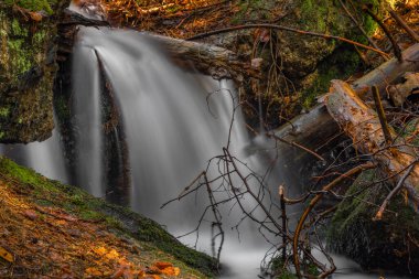 Baharda Jizerske dağlarında Cerveny şelalesi olan bir dere. Renkli bir sabah.