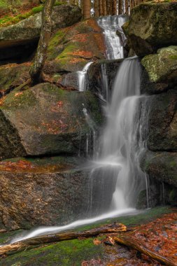 Baharda Jizerske dağlarında Cerveny şelalesi olan bir dere. Renkli bir sabah.