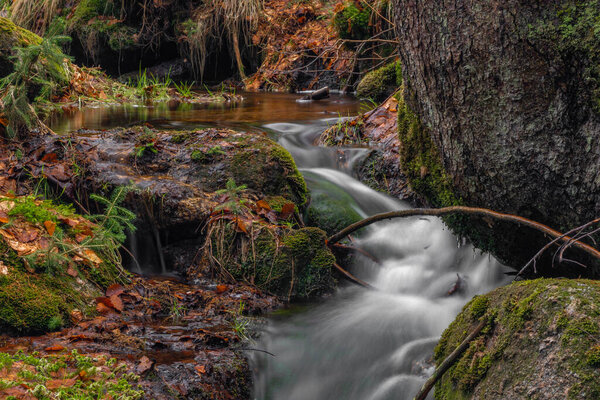 Cerveny creek with Cerveny waterfall in Jizerske mountains in spring fresh color morning