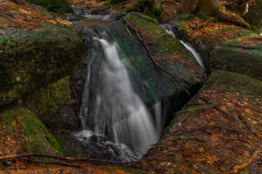 Baharda Jizerske dağlarında Cerveny şelalesi olan bir dere. Renkli bir sabah.