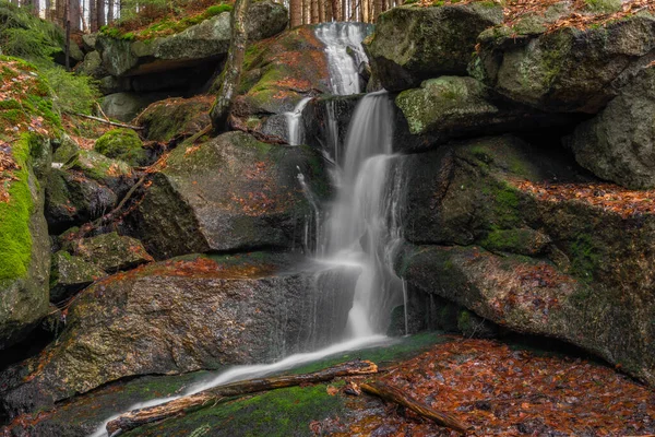 Baharda Jizerske dağlarında Cerveny şelalesi olan bir dere. Renkli bir sabah.