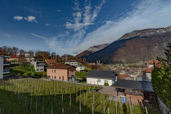 Bellinzona Stadt Von Einem Hohen Hügel Über Frühling Farbe Frischen — Stockfoto