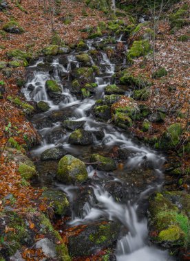 Krkonose dağlarında Jizera nehri ile kesişen şelaleli Prudky rucej deresi