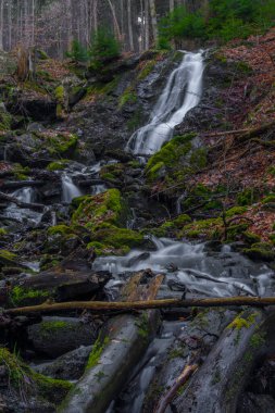 Krkonose dağlarında Jizera nehri ile kesişen şelaleli Prudky rucej deresi