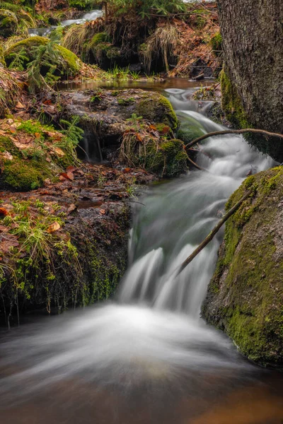 Cerveny Creek Cerveny Waterfall Jizerske Mountains Spring Fresh Color Morning — Stock Photo, Image