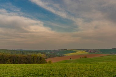 Açık yeşil çayırlar ve ağaçlarla Kvasice köyü yakınlarındaki manzara