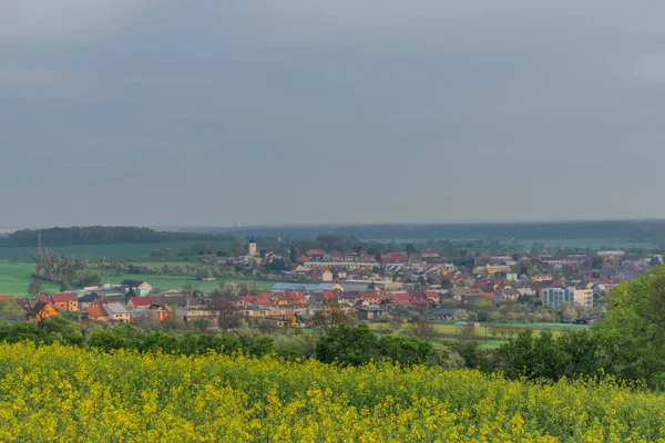 薄緑色の牧草地や木々があるクヴァシツェ村近くの風景 — ストック写真