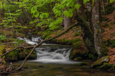 Bahar mevsiminde Pommerbach deresi Buchenau köyü yakınlarında serin ve bulutlu bir akşam.