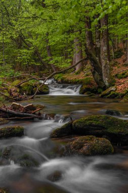 Bahar mevsiminde Pommerbach deresi Buchenau köyü yakınlarında serin ve bulutlu bir akşam.