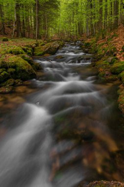 Bahar mevsiminde Pommerbach deresi Buchenau köyü yakınlarında serin ve bulutlu bir akşam.
