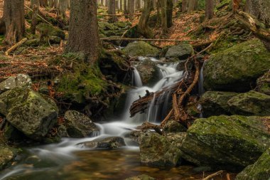 Geigenbachfalle şelalesi Almanya 'da Groser Arber Tepesi yakınlarında bahar sabahı