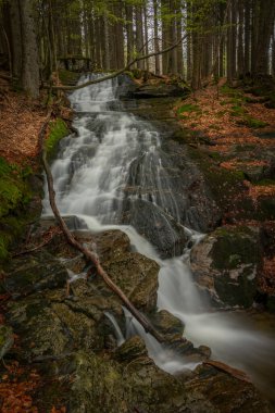 Geigenbachfalle şelalesi Almanya 'da Groser Arber Tepesi yakınlarında bahar sabahı