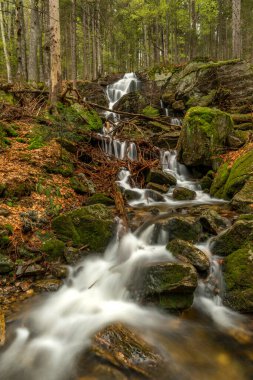 Geigenbachfalle şelalesi Almanya 'da Groser Arber Tepesi yakınlarında bahar sabahı