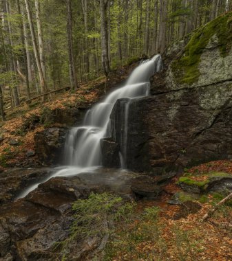 Geigenbachfalle şelalesi Almanya 'da Groser Arber Tepesi yakınlarında bahar sabahı