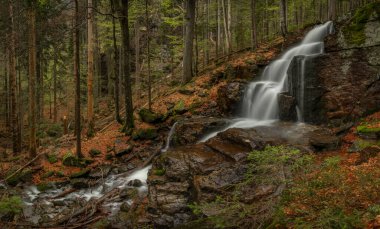 Geigenbachfalle şelalesi Almanya 'da Groser Arber Tepesi yakınlarında bahar sabahı