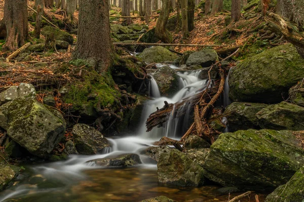 Geigenbachfalle şelalesi Almanya 'da Groser Arber Tepesi yakınlarında bahar sabahı