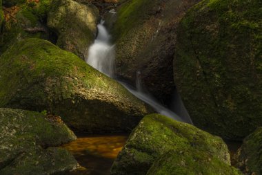 Baharda Jizerske dağlarında Cerveny şelalesi olan bir dere. Renkli bir sabah.