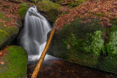 Baharda Jizerske dağlarında Cerveny şelalesi olan bir dere. Renkli bir sabah.