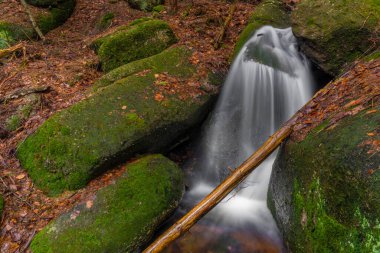 Baharda Jizerske dağlarında Cerveny şelalesi olan bir dere. Renkli bir sabah.