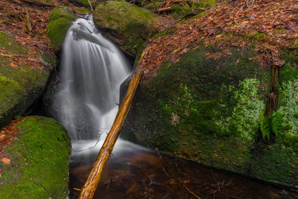 Baharda Jizerske dağlarında Cerveny şelalesi olan bir dere. Renkli bir sabah.