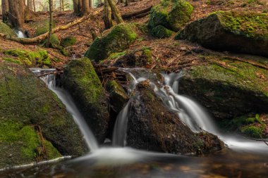 Baharda Jizerske dağlarında Cerveny şelalesi olan bir dere. Renkli bir sabah.
