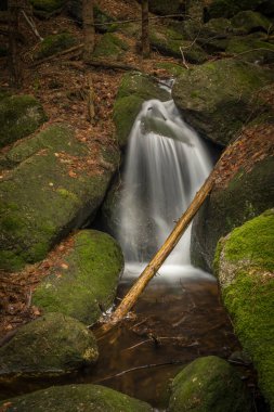 Baharda Jizerske dağlarında Cerveny şelalesi olan bir dere. Renkli bir sabah.