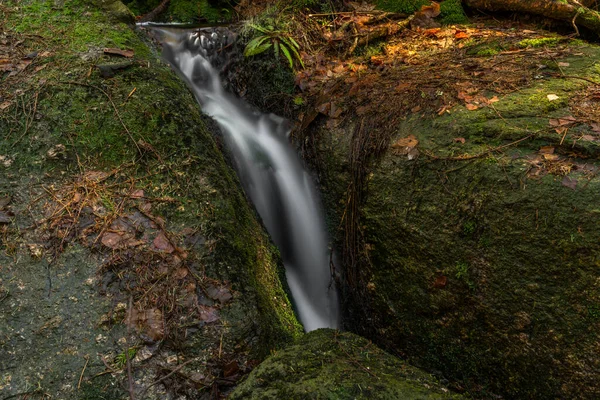 Cerveny Riacho Com Cachoeira Cerveny Montanhas Jizerske Primavera Manhã Cor — Fotografia de Stock