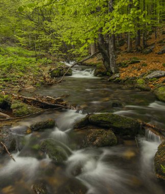 Bahar mevsiminde Pommerbach deresi Buchenau köyü yakınlarında serin ve bulutlu bir akşam.