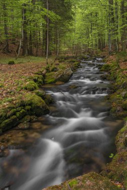 Bahar mevsiminde Pommerbach deresi Buchenau köyü yakınlarında serin ve bulutlu bir akşam.