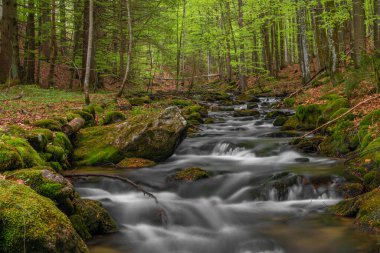 Bahar mevsiminde Pommerbach deresi Buchenau köyü yakınlarında serin ve bulutlu bir akşam.