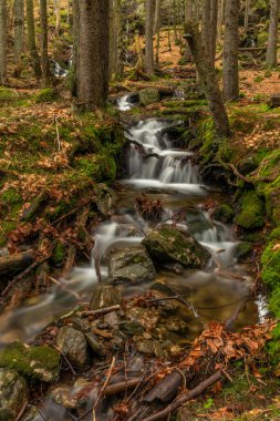Geigenbachfalle şelalesi Almanya 'da Groser Arber Tepesi yakınlarında bahar sabahı