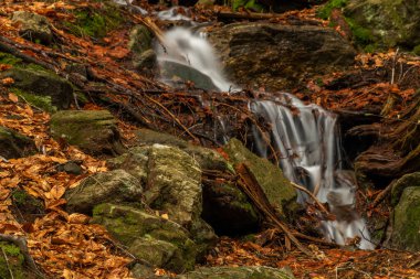 Geigenbachfalle şelalesi Almanya 'da Groser Arber Tepesi yakınlarında bahar sabahı