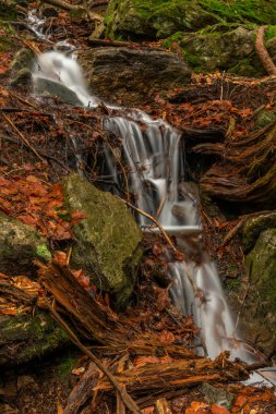 Geigenbachfalle şelalesi Almanya 'da Groser Arber Tepesi yakınlarında bahar sabahı