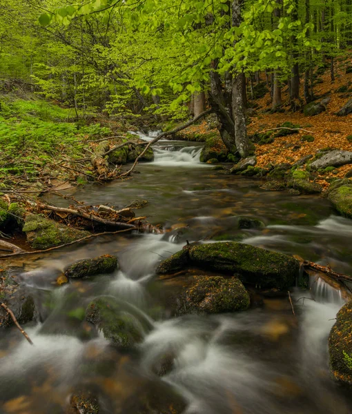 Bahar mevsiminde Pommerbach deresi Buchenau köyü yakınlarında serin ve bulutlu bir akşam.
