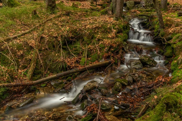 Geigenbachfalle Cachoeira Perto Groser Arber Colina Alemanha Manhã Primavera — Fotografia de Stock
