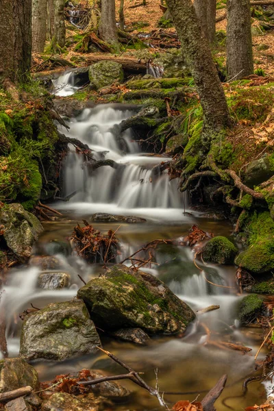 Geigenbachfalle şelalesi Almanya 'da Groser Arber Tepesi yakınlarında bahar sabahı