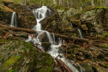 Geigenbachfalle şelalesi Almanya 'da Groser Arber Tepesi yakınlarında bahar sabahı