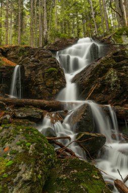 Geigenbachfalle şelalesi Almanya 'da Groser Arber Tepesi yakınlarında bahar sabahı