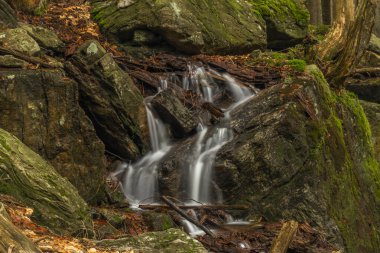 Geigenbachfalle şelalesi Almanya 'da Groser Arber Tepesi yakınlarında bahar sabahı