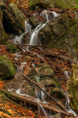 Geigenbachfalle şelalesi Almanya 'da Groser Arber Tepesi yakınlarında bahar sabahı