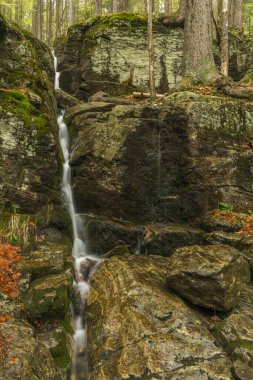 Geigenbachfalle şelalesi Almanya 'da Groser Arber Tepesi yakınlarında bahar sabahı