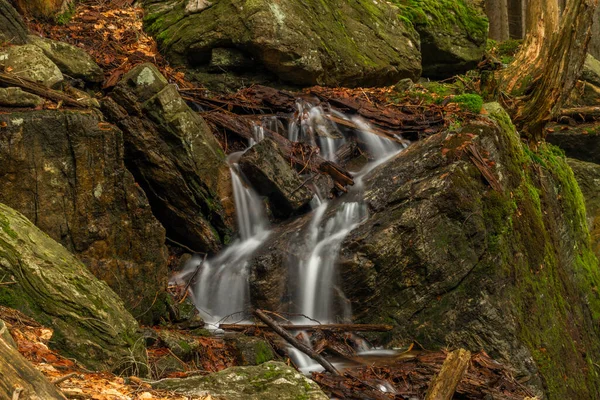 Geigenbachfalle şelalesi Almanya 'da Groser Arber Tepesi yakınlarında bahar sabahı
