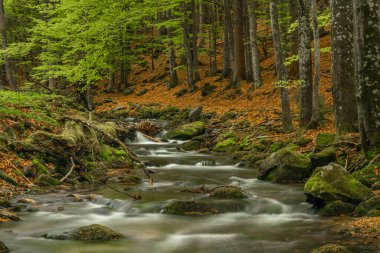 Bahar mevsiminde Pommerbach deresi Buchenau köyü yakınlarında serin ve bulutlu bir akşam.