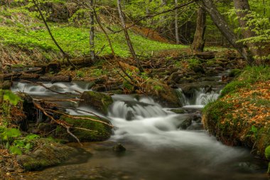 Bahar mevsiminde Pommerbach deresi Buchenau köyü yakınlarında serin ve bulutlu bir akşam.