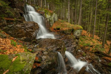 Geigenbachfalle şelalesi Almanya 'da Groser Arber Tepesi yakınlarında bahar sabahı