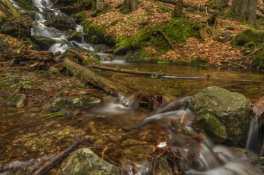Geigenbachfalle şelalesi Almanya 'da Groser Arber Tepesi yakınlarında bahar sabahı