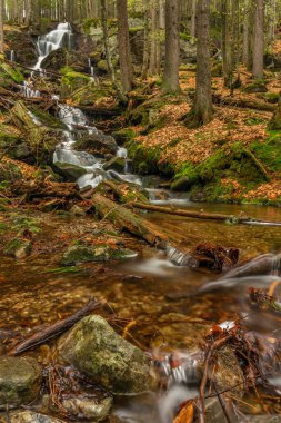 Geigenbachfalle şelalesi Almanya 'da Groser Arber Tepesi yakınlarında bahar sabahı